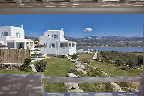Naxian Collection