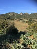 Villa Belfiori