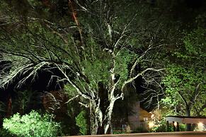 Gumtree Guest House