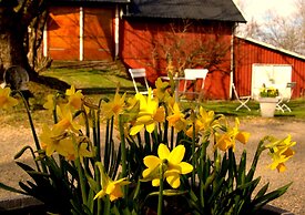 Paulsens Hotell