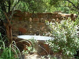 Forest Creek Lodge & Spa
