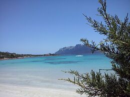 L'Aglientu
