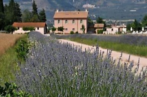 Country House Casco dell'Acqua