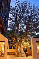 Essque Zalu Zanzibar