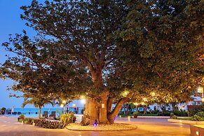 Essque Zalu Zanzibar