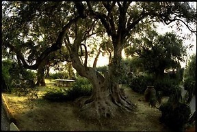 Casa Migliaca