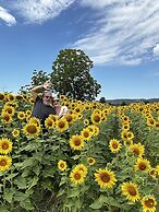 LaChiusa Tuscany