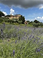 LaChiusa Tuscany