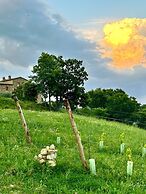LaChiusa Tuscany