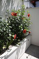 Jele Rooms