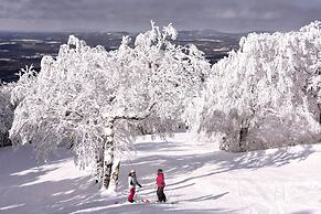 Le Montagnard – Auberge/Hôtel & chalets