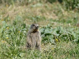 Résidence Les Blanches Provençales