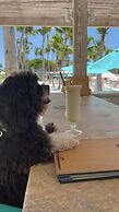 Eden Roc Cap Cana