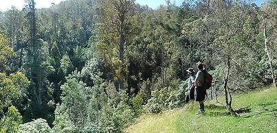 Huon Bush Retreats