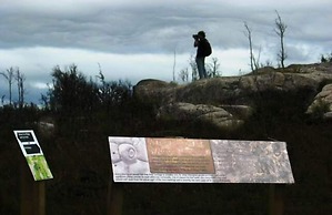 Huon Bush Retreats