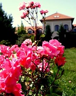 Bodrogi Kúria Wellness Hotel