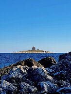 Violeta Hvar