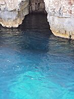 Violeta Hvar
