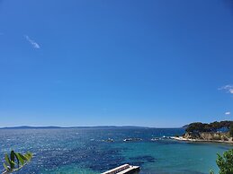 Violeta Hvar
