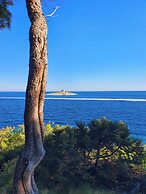 Violeta Hvar