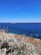 Violeta Hvar