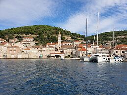 Violeta Hvar