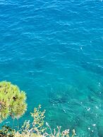 Violeta Hvar