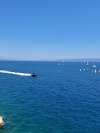 Violeta Hvar