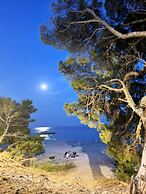 Violeta Hvar