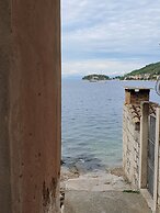Violeta Hvar
