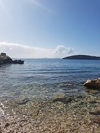 Violeta Hvar