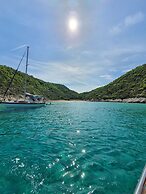 Violeta Hvar