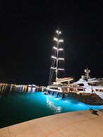 Violeta Hvar