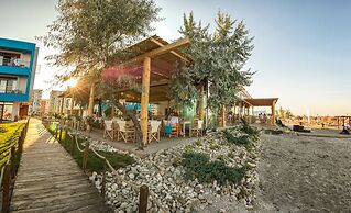 Blue Beach Studios