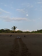Cafe Playa Negra