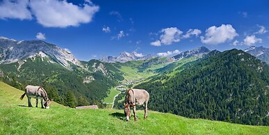 Hotel Oberland