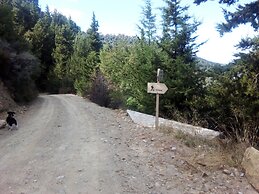 Apirathes
