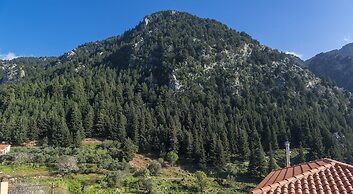 Apirathes