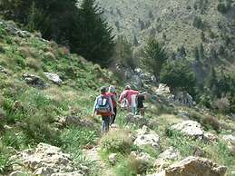 Apirathes