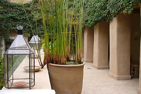 DarZahia