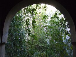 DarZahia