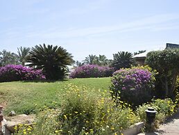 Queen Sharm Resort