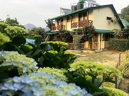 Emerald Trail