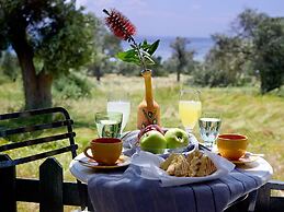Ledra Samos Hotel