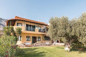 Ledra Samos Hotel