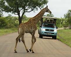 Kubu Safari Lodge