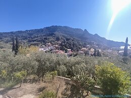 Panorama apartments