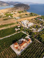 Maria's Filoxenia Suites