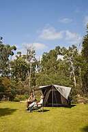 BIG4 Crystal Brook Tourist Park