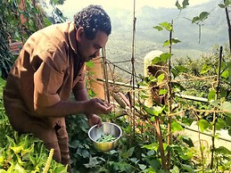 Blackberry Hills Munnar - Nature Resort & Spa
